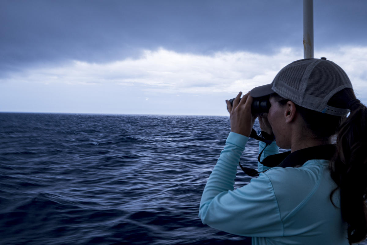 Crew on MY Esperanza in the Sargasso Sea. © Shane Gross / Greenpeace