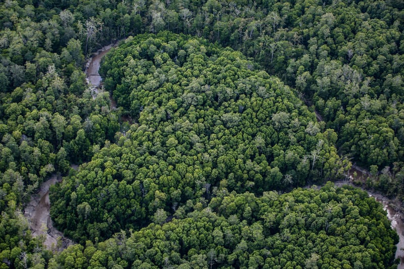 Documentation of landcover of Southern Papua.|WED 1|© Markus Mauthe / Greenpeace|Seychelles|The most stunning places on Earth|The most stunning places on Earth|WED blog 6|Namibia - Most Stunning Places on earth|WED blog 8|Canada - World's Most Stunning Places|Bear Island