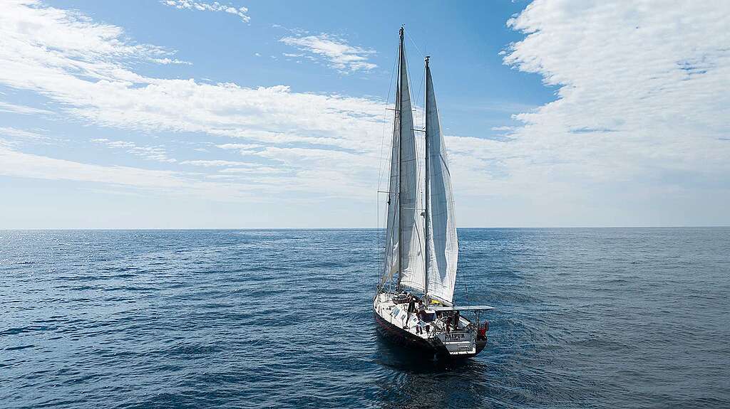 Greenpeace Australia Pacific’s first ever campaigning vessel. 