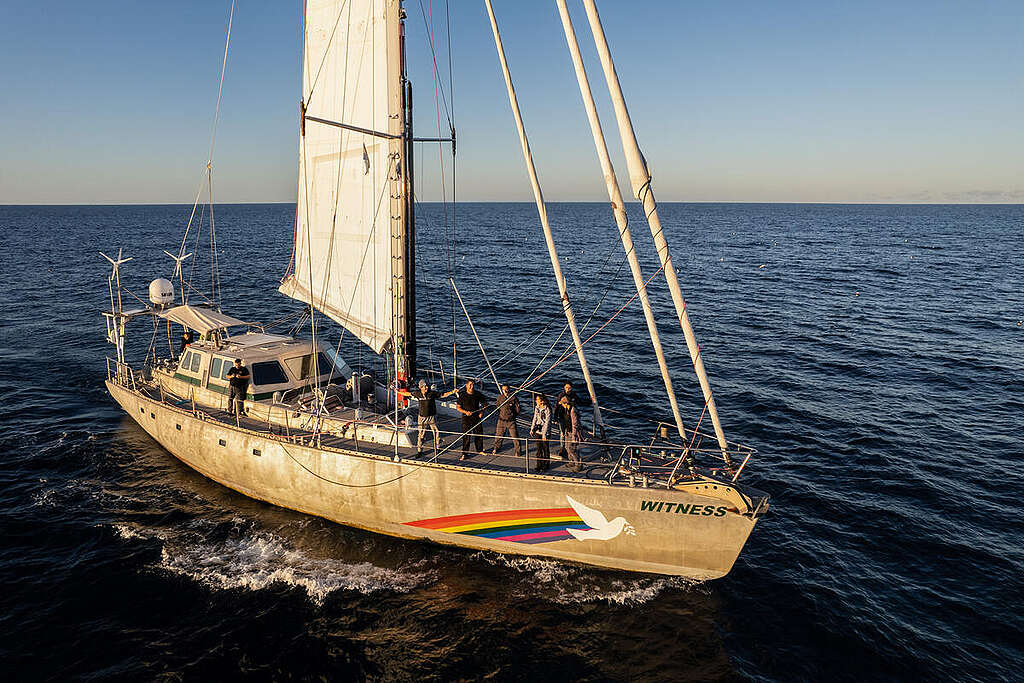 The civil society organisation, Whale Conservation Institute (ICB) and Greenpeace, aboard the SY Witness, a Greenpeace sailboat, tour around the area of the Argentine Sea where the oil industry plans to carry out seismic explorations, off the coast of Buenos Aires, Río Negro and Chubut. The Greenpeace ship toured for a week in the North Argentina basin, where the area is awarded to the oil industry. The Argentine Sea serves as the feeding ground and a migratory path of the Southern Right Whale and plays a natural importance especially for emblematic species of Argentine biodiversity.