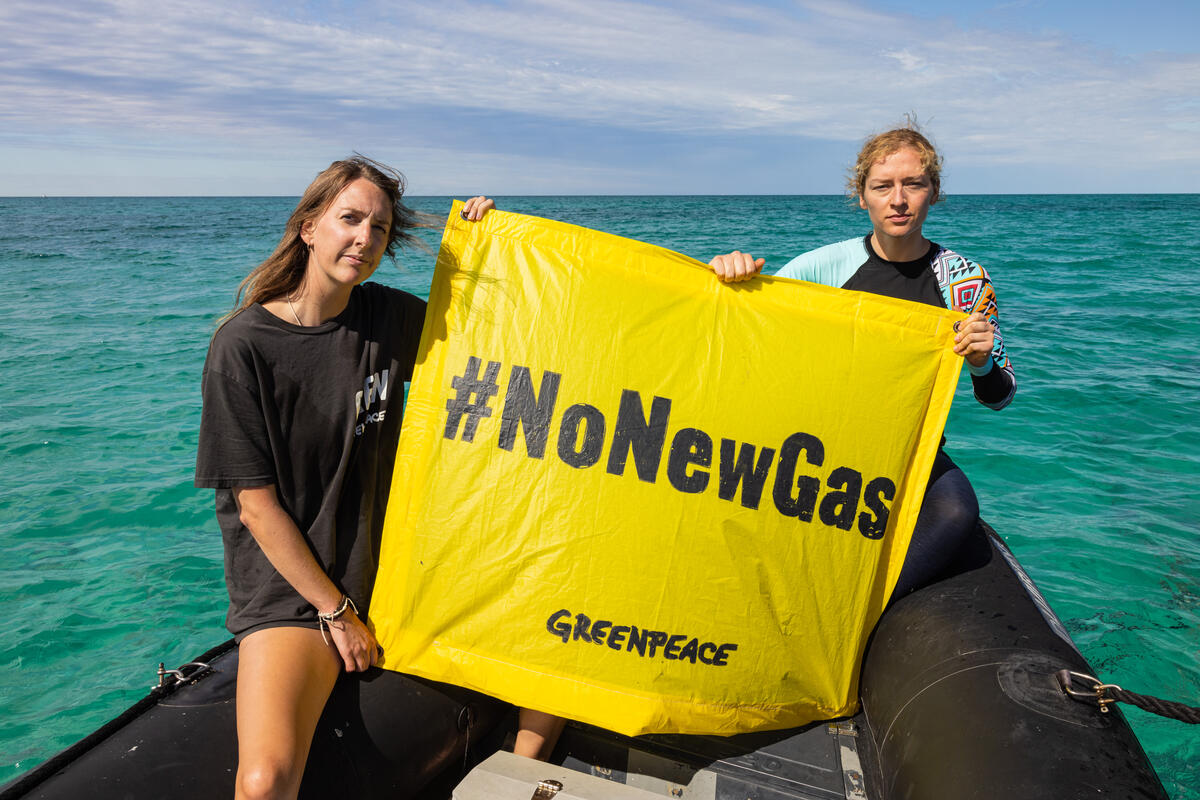 No New Gas Banner in Shark Bay, Australia. © Harriet Spark / Grumpy Turtle Film / Greenpeace