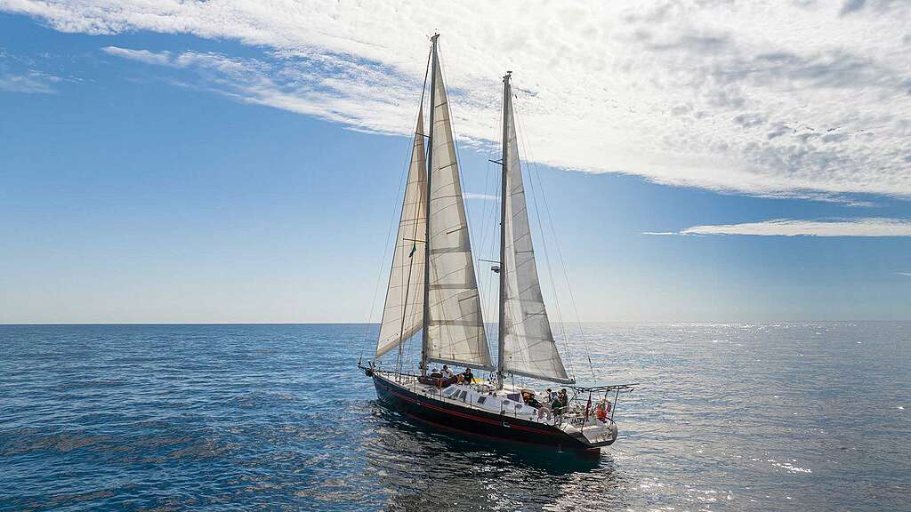 Our new campaigning vessel after arriving in Sydney