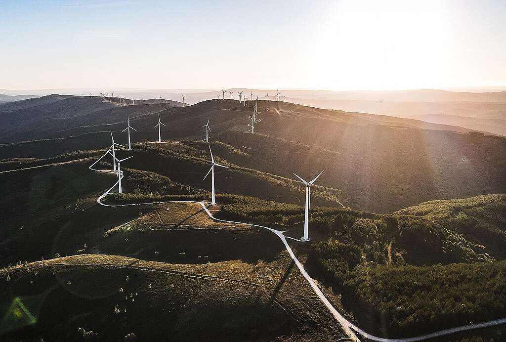 Wind farms in fields